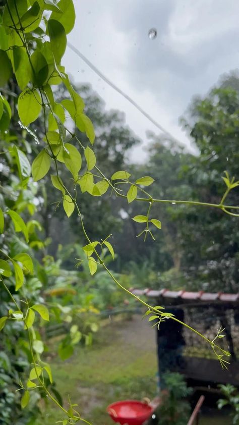 ☔️ rainyday 🌧 | Beautiful scenery nature, Beautiful nature scenes, Rain photography Nature Rain, Sky Photography Nature, Amazing Nature Photography, Scenery Nature, Beautiful Images Nature, Beautiful Places Nature, Nature Gif, Beautiful Photos Of Nature, Photography Beautiful