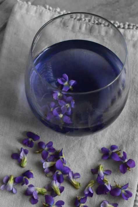 Beautiful Blue Tea with Foraged Violets | indie herbalist Edible Roots, Spring Salads, Tea Blends Recipes, Pumpkin Tea, Spring Treats, Jewish Food, Tea Plant, Violet Plant, Vinegar And Honey