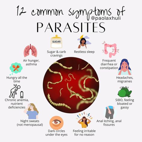 Parasites are extremely stealthy! They can cause chronic symptoms and are very hard to diagnose. Before I started doing parasite cleanses… | Instagram Signs Of Parasites In Humans, Parasite Cleanse Recipes, Parasite Symptoms, Parasite Cleanse Diet, Parasites Symptoms, Nutrition Knowledge, Herbal Parasite Cleanse, Clean Gut, Fibroid Diet