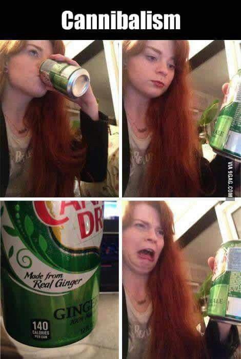 Lmao ! Ginger Ale Redhead Memes, Ginger Jokes, Ginger Humor, Redhead Quotes, Info Video, Hysterically Funny, Really Funny Pictures, Really Funny Memes, Funny Clips