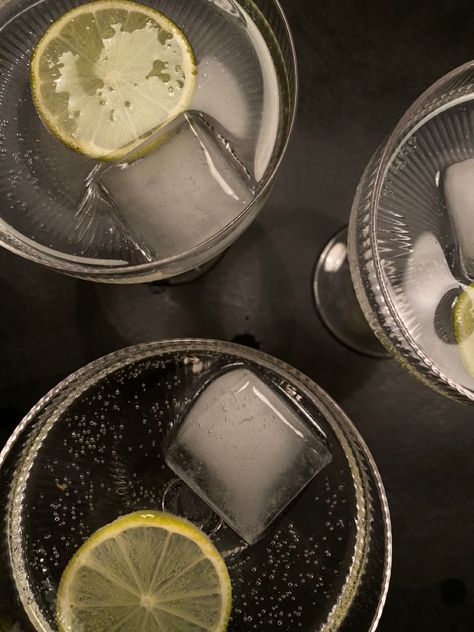 Cocktails, aesthetic drinks, dinner inspiration, cocktail night, aesthetic gin tonic, drink with friends Vodka Aesthetic Dark, Gin Tonic Party, Gin And Tonic Aesthetic, Gin Aesthetic, Pisco Drinks, Gin Gimlet, Gin And Soda, Cocktail Night, Gin Bar