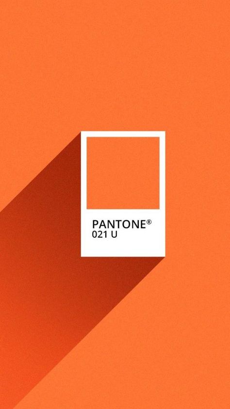 COLOR OF THE MONTH | Cosy up with Pumpkin Orange Pantone Orange, Orange Outfits, Visuell Identitet, Orange Palette, Orange Color Palettes, Orange Interior, Orange Walls, Rainbow Aesthetic, Orange You Glad