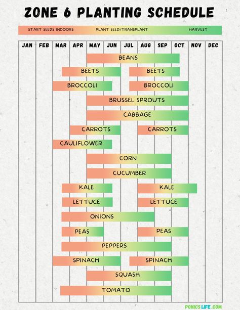 Zone 6 Planting Schedule and Calendar: A Quick Guide