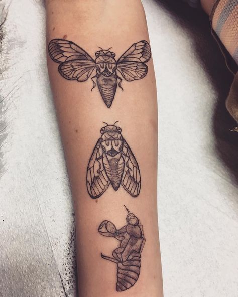 Firefly Tattoo, Cicada Tattoo, Insect Tattoo, Creative Fashion Photography, Dot Work Tattoo, Star Background, Aesthetic Tattoo, Neck Tattoo, Heart Tattoo