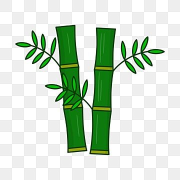 bamboo,vector,bambu,nature,illustration,background,design,tropical,leaf,tree,plant,green,branch,decoration,graphic,natural,forest,summer,isolated,template,floral,art,exotic,pattern,stick,drawing,symbol,traditional,leaves,texture,wooden,clip art Bamboo Clip Art, Bamboo Illustration, Bamboo Cartoon, Bamboo Vector, Bamboo Drawing, Branch Decoration, Leaves Texture, Bamboo Background, Forest Summer