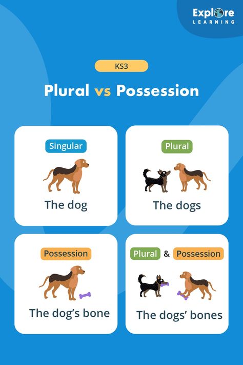 📚 Plural vs. Possession: A Key Lesson for Key Stage 3! Plural means more than one, while possession shows ownership. When we have more than one dog we add the letter "s" to make "The dogs." If the dog owns a bone, we add an apostrophe before the "s" to make "The dog's bone." If we have more than one dog owning some bones, we add an apostrophe after the "s" to make "The dogs' bones." Help your child master this language skill with our expert guidance! 🧠📖 #GrammarSkills #KeyStage3 #Plural Key Stage 3, Singular And Plural, Grammar Skills, English Resources, English Literature, Language Skills, Dog Bone, Letter S, Literature