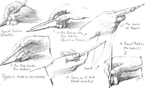 Drawing Hands, Drawing Tips, Drawing Pictures, How To Draw Steps, Anatomy Tutorial, Drawing For Beginners, Charcoal Drawing, A Pencil, Step By Step Drawing