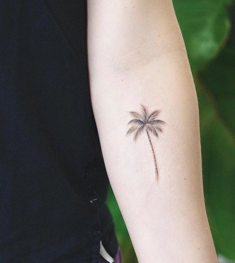 Feminine Palm Tree Tattoo, Palm Tree Sketch Tattoo, Minimalist Tropical Tattoo, Palm Tree Fine Line Tattoo, Dainty Palm Tree Tattoo, Fine Line Palm Tree Tattoo, Tiny Palm Tree Tattoo, Minimalist Palm Tree Tattoo, Palm Tree Tattoo Arm