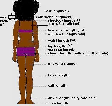 Hair Length Guide: How to Measure Your Natural Hair Length Black Hair Care, Hair Length Guide, Quotes Rainbow, Hair Growth Charts, Natural Hair Rules, Hair Length Chart, Hair 101, Fairy Hair, Natural Hair Inspiration