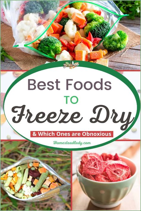 Freeze Dried Gift Ideas, Best Things To Freeze Dry, Best Foods To Freeze Dry, Freeze Dryer Snacks, What To Freeze Dry, Freeze Dry Meal Recipes, Freeze Dried Christmas Gifts, Things To Freeze Dry, Freeze Dried Recipes