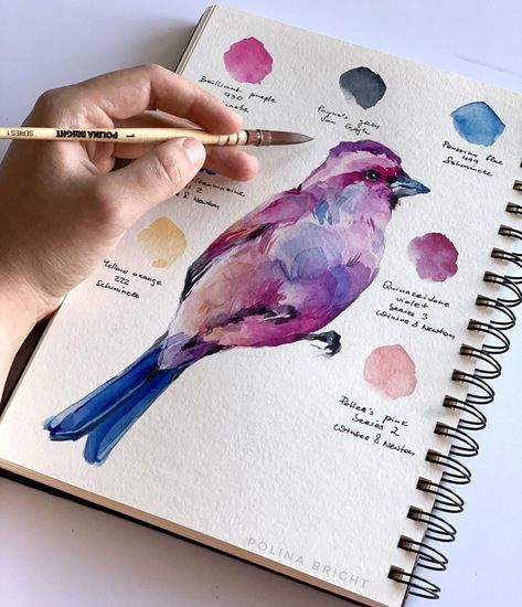 Purple Finch, Images Pop Art, Polina Bright, Watercolor Art Lessons, Bird Drawings, Watercolor Bird, Watercolor Art Prints, Birds Painting, Painting Tutorial