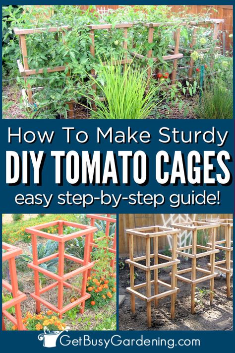 boxed off tomato cages creating a vertical structure for tomato plants Cottage Garden Plan, Tomato Support, Vertical Vegetable Gardens, Plant Cages, Garden Hacks Diy, Tomato Trellis, Diy Garden Trellis, Diy Trellis, Vegetable Garden Diy