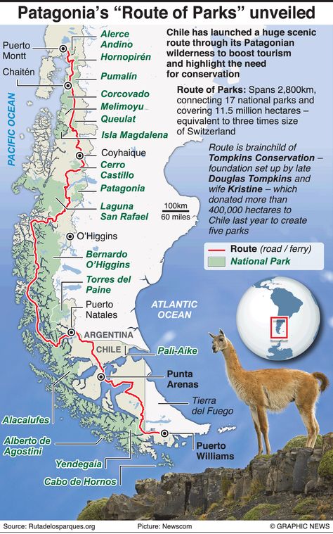 ENVIRONMENT: Patagonia’s “Route of Parks” unveiled infographic Patagonia Travel, Ambassador Program, Visit Argentina, Road Trip Map, Chile Travel, Travel Route, Ushuaia, Travel South, South America Travel