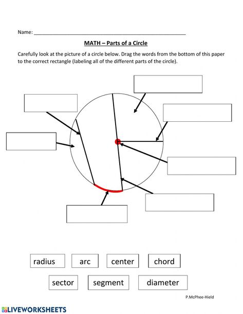 Mass Worksheet, Circle Worksheet, Parts Of A Circle, Area Of A Circle, Circle Geometry, Math 8, 5th Grade Writing, Scientific Notation, Geometry Worksheets