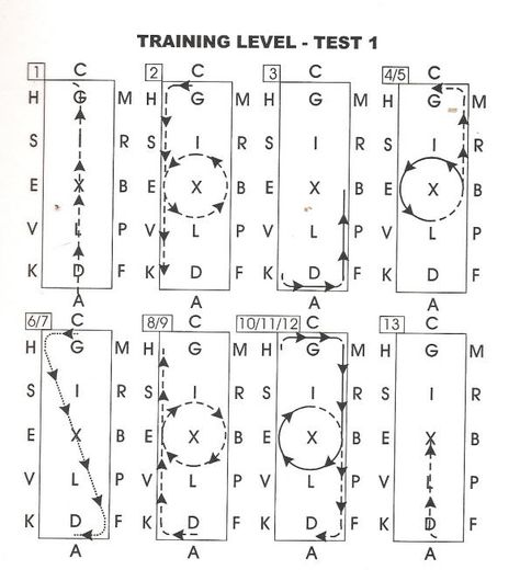 Dressage Tests Level 1, Horse Flatwork, Dressage Patterns, Western Dressage, Dressage Tests, Dressage Exercises, Dressage Arena, Horse Training Exercises, Horse Lessons