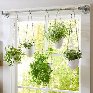 Herb Garden Planter, Plants In Pots, Plants Hanging, Planter Diy, Hanging Herbs, Vertical Garden Indoor, Window Plants, نباتات منزلية, Kitchen Plants