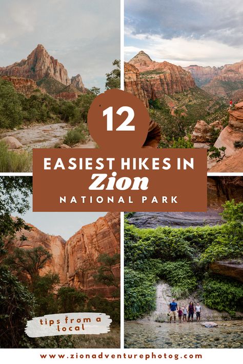 Discover 12 amazing but easy hikes in Zion National Park perfect for your fall bucket list, offering the best adventure travel, family-friendly trails, and stunning photography spots | Click for our FREE Zion 101 guide Zion National Park Best Hikes, One Day In Zion National Park, Hidden Canyon Trail Zion, Zion Hikes, Zion National Park Photography, Zion Canyon Overlook Trail, Zion Narrows Hike, Outdoor Adventure Photography, The Narrows Zion National Park