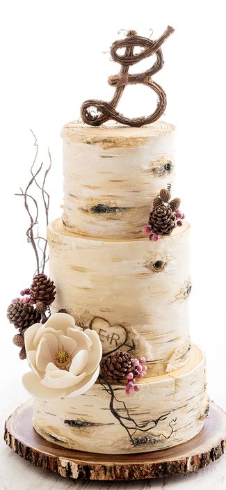 Birch Tree Wedding Cake                                                                                                                                                      More Birch Tree Wedding Cake, Tree Wedding Cake, Tårta Design, Vintage Pasta, Wedding Cake Tree, Birch Tree Wedding, Torte Cupcake, Winter Wedding Cake, Wedding Cake Rustic