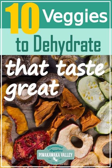 Let's face it some dehydrated vegetables and fruit are simply gross. Here are 10 vegetables that you can dehydrate and how to use them that actually taste nice. Perfect for storing the harvest or for keeping your produce that you grew in your garden at home! #foodpreservation #piwakawakavalley Dehydrator Recipes Vegetables, Dehydrate Vegetables, Dehydration Recipes, Dehydrating Vegetables, Dehydrating Recipes, Diy Condiments, Dehydrating Food Storage, Vegetable Ideas, Dehydrated Fruits