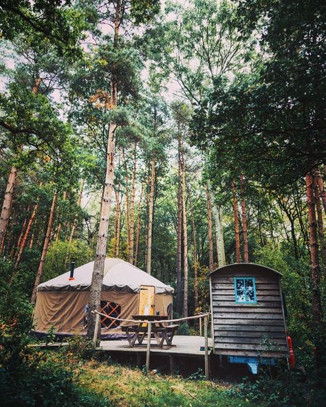 Yurt Cabin, Yurt Aesthetic, Yurt Ideas, Wood Yurt Plans, Wood Yurt Home, Yurt Campground, Yoga Yurt, Connected Yurts, Yurt Camping