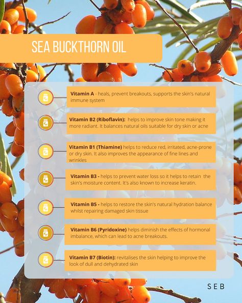 Seven vitamins to help your skin can be found in the Sea Buckthorn oil. Find out more via the blog on the SEB website at www.SEBCosmetics.com Sea Buckthorn Oil Benefits Skin Care, Sea Buckthorn Oil Benefits, Sea Buckthorn Benefits, Plant Healing, Brand Equity, Thyroid Remedies, Immune System Vitamins, Natural Hydration, Skin Advice