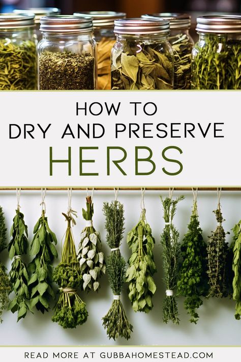 How To Dry Herbs From Your Garden, Drying Your Own Herbs, Fresh Herbs To Dry Herbs Conversion, What To Do With Dried Herbs, How To Make Dried Herbs, Planting Herbs From Seeds, How To Harvest And Dry Herbs, Herb Drying Station, How To Grow Indoor Herbs