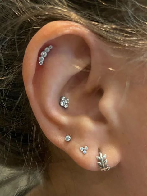 Piercing
conch
lobe
helix Conch Ear Piercing, Multiple Piercings Earrings, Ear Peircings, Flat Piercing, Pretty Ear Piercings, Forward Helix, Conch Piercing, Helix Piercing, Piercing Tattoo