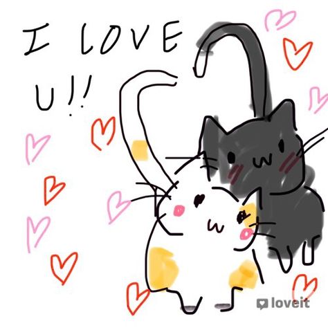 Cute Drawings For Girlfriend I Love You, I Love U Cat, Cute I Love You Drawings, Couple Doodle, I Love You Cat Drawing, Like My Story And I’ll Introduce You, Cute Drawings For Bf, Cartoon Cats In Love, I Love My Boyfriend