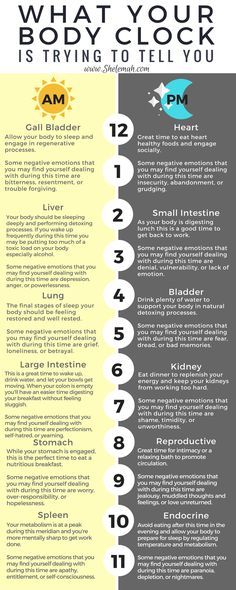 What your meridian body clock is trying to tell you Meridian Clock, Chinese Clock, Nutrition Day, Autogenic Training, Body Clock, Sport Nutrition, Circadian Rhythm, Am Pm, Alternative Health