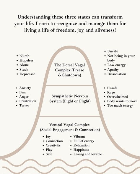 ✨Recognizing which state your nervous system is in can help you better understand your feelings and reactions. Each state serves a purpose and signals your body’s needs. ✅Our aim and purpose is to be able to navigate these states with flexibility according to what is needed of us in the moment. ✅A regulated nervous system doesn’t mean calm and peace all the time but what it means is it’s capacity to adapt to what external environment asks of us. 🔥For example, if there is a dangerous situati... Freeze Nervous System, Regulating The Nervous System, Parasympathetic Nervous System Reset, Calming The Nervous System, Regulated Nervous System, Healing The Nervous System, Healing Your Nervous System, Healing Nervous System, Heal Nervous System