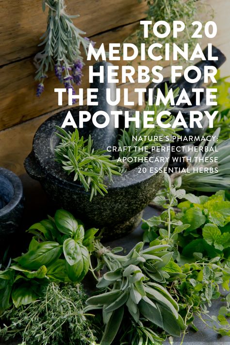 top 20 medicinal herbs for the ultimate apothecary Green Witch Apothecary, Herbs For Survival, Herbs For Medicinal Purposes, Home Herbal Apothecary, Growing Medicinal Herbs, Medicinal Plants Aesthetic, Medicinal Herbs Aesthetic, Apothecary Beginner, Herb Pharmacy