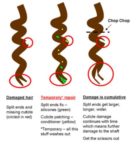 Split ends Natural Hair Care Tips, Types Of Hair, Damaged Hair Repair, Heat Damage, Natural Hair Tips, Natural Hair Journey, Relaxed Hair, Curly Hair Care, Hair Repair