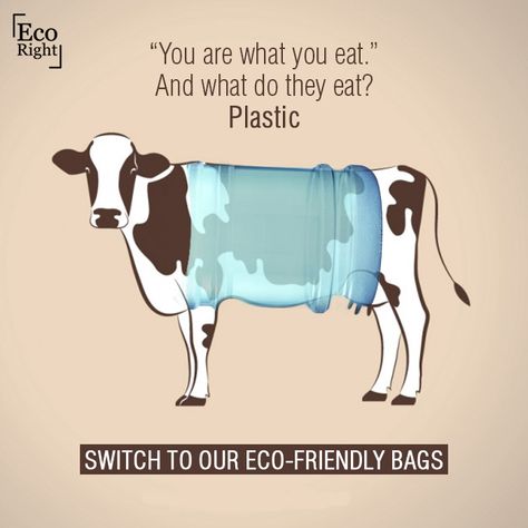 They don't deserve #plastic, do they? Glad to see the government of Madhya Pradesh ban plastic bags. But the implementation lies with all of us. Say no to plastic today. No To Plastic Quotes, Don't Use Plastic Poster, Say No To Plastic Posters, Say No To Plastic Posters Creative, Poster On Pollution, Plastic Problems, Say No To Plastic, Computer Teacher, Color Pencil Sketch