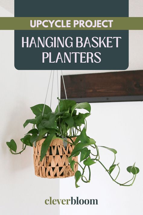 Upcycled Hanging Basket Planter - Clever Bloom Diy Hanging Baskets, Hanging Baskets Diy, Baskets Diy, Plant Inspiration, Old Baskets, Planter Basket, Plant Projects, Garden Indoor, Basket Planters