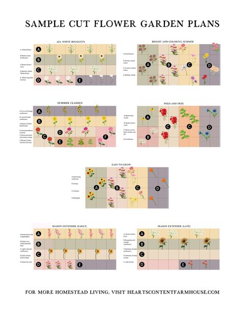 SAMPLE CUT FLOWER GARDEN PLANS.pdf Cut Flower Garden Landscape, Mini Cut Flower Garden, Zone 9 Cut Flower Garden, Beginner Cut Flower Garden, Small Cut Flower Garden Layout, Cut Flower Garden Layout, Flower Garden Layouts, Garden Notes, Flower Garden Plans