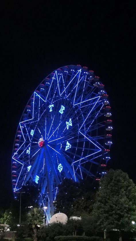 Texas Star at the State Fair Dallas State Fair, State Fair Texas, State Fairs, Texas State Fair, Texas State Parks, Only In Texas, Fair Rides, Texas Life, Ferris Wheels