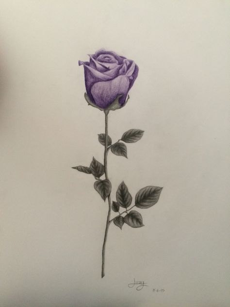 By izzy steel Purple Rose Drawing, Purple Rose Tattoos For Women, Simple Purple Rose Tattoo, Purple Rose Painting, Detail Drawing, Purple Roses Artwork, Colored Roses, Rosé Details, Rose Drawing