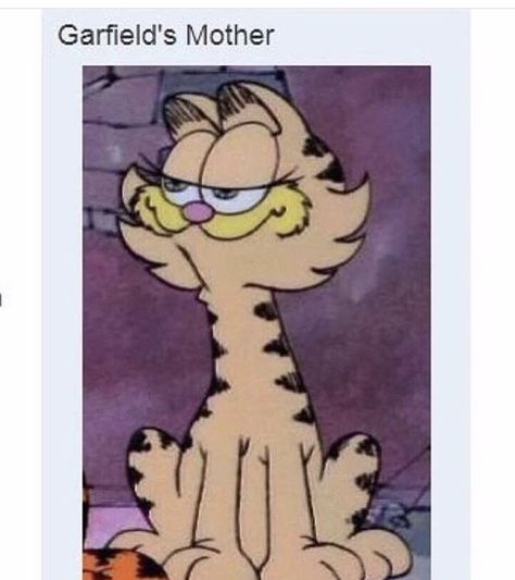 Garfield Pictures, Garfield Images, Garfield Cat, I Hate Mondays, Garfield And Odie, In The Now, Friends Show, Fat Cats, Silly Cats