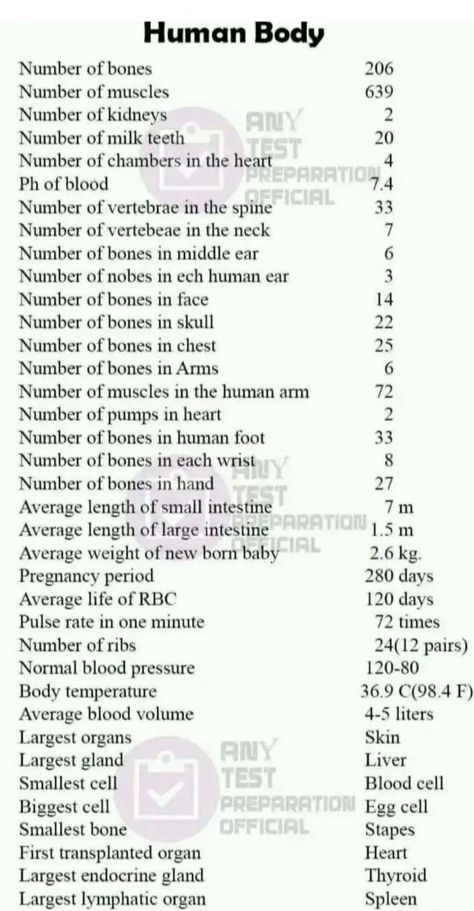 About Human Body How Many Bones In The Body Human Anatomy, Number Of Bones In Human, Human Body Limits, Human Body Knowledge, Basic Biology Terms, Science Basics Knowledge, Biology Basic Knowledge, General Science Knowledge, Human Body Systems Notes