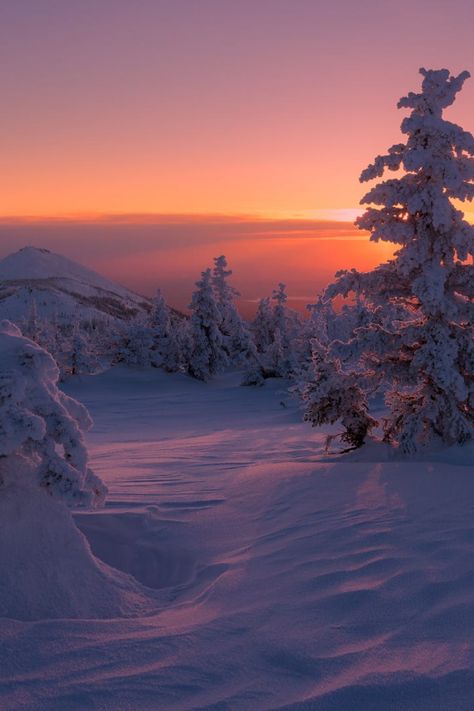 winter forest sunset Winter Sunset Pictures, Sunset In A Forest, Sunset Forest Wallpaper, Winter Sunset Wallpaper, Winter Forest Aesthetic, Sunset In The Forest, Sunset In Winter, Christmas Sunset, Snowy Sunset