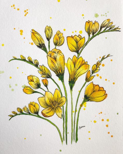 Freesia Flower Painting, Freesia Painting, Freesia Drawing, Freesia Watercolor, Freesia Flower, Freesia Flowers, Watercolor Pictures, Floral Drawing, Watercolor Flower Art