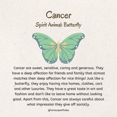 Zodiac Facts, Butterfly Meaning, Born Leader, Animal Butterfly, Grunge Posters, Born In January, Zodiac Sign Traits, Zodiac Signs Funny, What Type