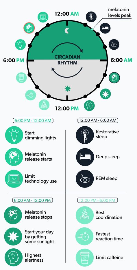 The sleep cycle is divided into five distinct stages of sleep and each of these stages has its own effects on the body. Learn more. 10 3 2 1 0 Sleep Rule, How To Get More Rem Sleep, Sleep Cycle Chart, Psychology Journal, Rem Sleep Cycle, Sleep Stages, Sleep Inertia, Health Illustration, Sleep Chart