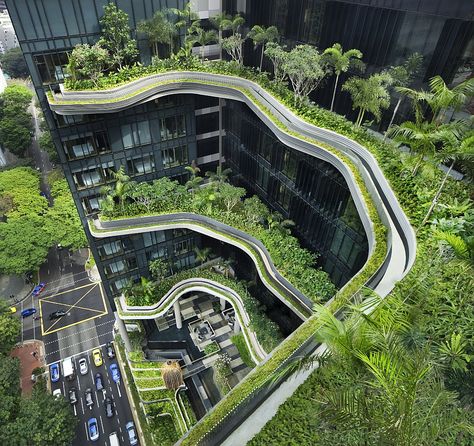 Breathtaking Green Hotel In Singapore Showcases Sustainable Architecture Architecture Cool, Summers Eve, Singapore Hotels, Gardens Of Babylon, Fence Garden, Vertical Gardens, Green Architecture, Sky Garden, Amazing Buildings