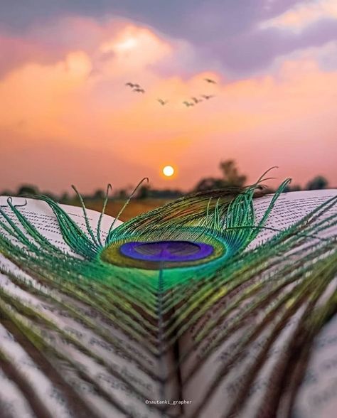 1,566 Likes, 18 Comments - @international_photography_hub_ on Instagram: “●follow👉@international_photography_hub_ ●feature credit👉@nautanki_grapher ●Daily feature 🔥📷_ _ _ _…” Mor Pankh Background, Hruta Durgule Hd Photos Instagram New, Little Kanha Ji Images, Books And Pens Photography, Creative Photography Ideas, Decent Wallpapers, Smile Wallpaper, Pictures Of Shiva, Instagram Picture Quotes