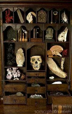 Small Curio Cabinet.... Witch Cabinets, Anatomy Decor, Horror Bedroom, Apothecary Ideas, Compass Clock, Brain Models, Cabinet Of Curiosity, Curiosity Cabinet, Curiosity Shop