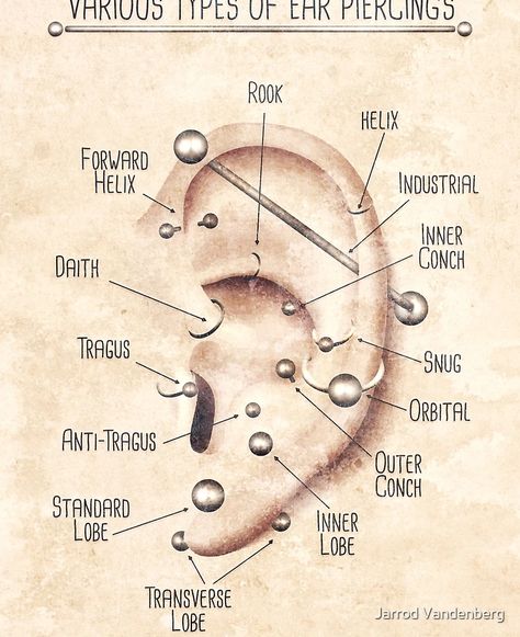 "Ear Piercing Chart, Vintage Grunge" iPad Case & Skin for Sale by Jarrod Vandenberg | Redbubble Piercing Infographic, Ear Piercings Placement Chart, Ear Piercing Chart, Ear Piercing Names, Different Ear Piercings, Infographic Chart, Ear Peircings, Ear Piercings Chart, Piercing Chart