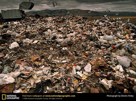 garbage-landfill Pollution Pictures, Pollution Activities, Chemical Waste, Ocean Pollution, Physical Geography, Physical Environment, Water Pollution, Food Web, Nat Geo