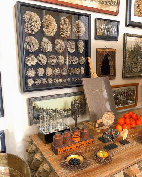 Eclectic Home Tour - Not a Minimalist - Kelly Elko Bat Decorations On Wall, Naturalist Decor, Trunk Or Treat Ideas, Cabinet Of Curiosity, Bat Decorations, Wasp Nest, Colorful Pottery, Cabinet Of Curiosities, Bring Them Home