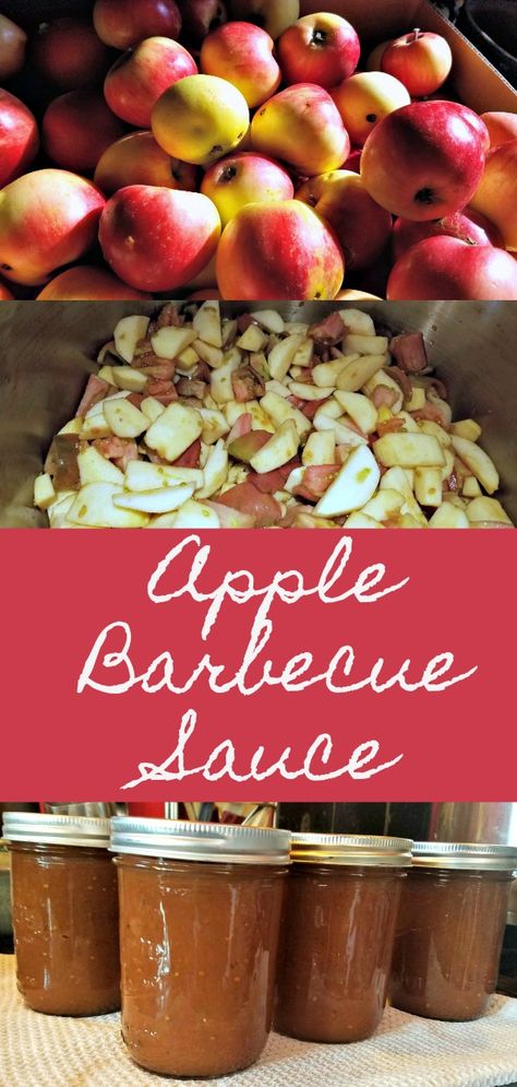 Apple Barbecue Sauce, Canning With Apples Recipes, Apple Barbeque Sauce, Apple Bbq Sauce Recipe Canning, Canning Recipes Apples, Crab Apple Canning Recipes, Bbq Canning Recipes, Crab Apple Sauce Recipes, Canned Barbecue Sauce Recipe